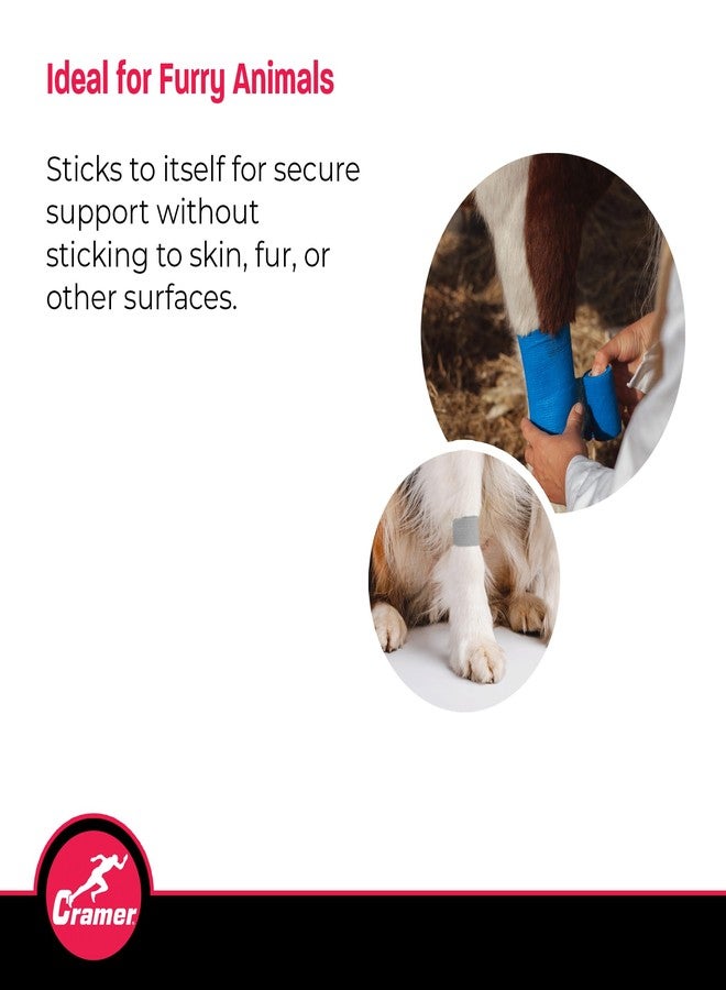 Cramer Eco-Flex Self-Stick Stretch Tape, Grey, 2" x 5 yd, Cohesive Athletic Bandage Wrap, Athletic Trainer Flexible Sports Tape, Easy Tear Vet Wrap for Pets, Self Adhesive Bandage Roll, 5 Yards - Image 5